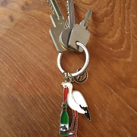 Le Riesling Centre Avec Terrasse Et Parking Gratuit Apartment *