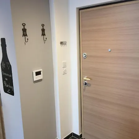 Le Riesling Centre Avec Terrasse Et Parking Gratuit Apartment