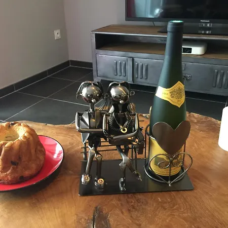 Le Riesling Centre Avec Terrasse Et Parking Gratuit Apartment Colmar