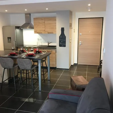Le Riesling Centre Avec Terrasse Et Parking Gratuit Кольмар