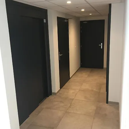 Apartment Le Riesling Centre Avec Terrasse Et Parking Gratuit