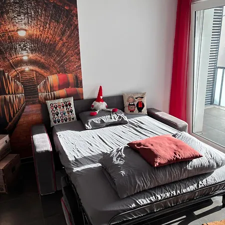 Apartment Le Riesling Centre Avec Terrasse Et Parking Gratuit Colmar