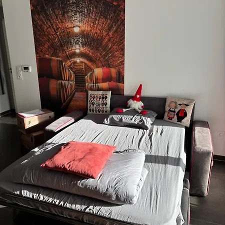 Le Riesling Centre Avec Terrasse Et Parking Gratuit *