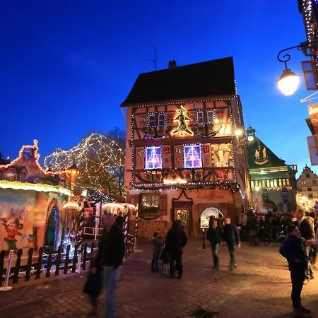 Le Riesling Centre Avec Terrasse Et Parking Gratuit 公寓 *