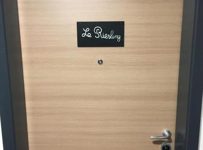 Appartement Le Riesling Centre Avec Terrasse Et Parking Gratuit