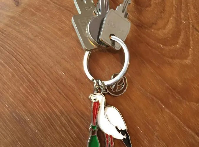 Le Riesling Centre Avec Terrasse Et Parking Gratuit Apartment *