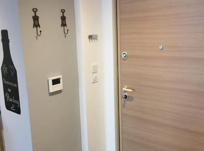 Le Riesling Centre Avec Terrasse Et Parking Gratuit Apartment