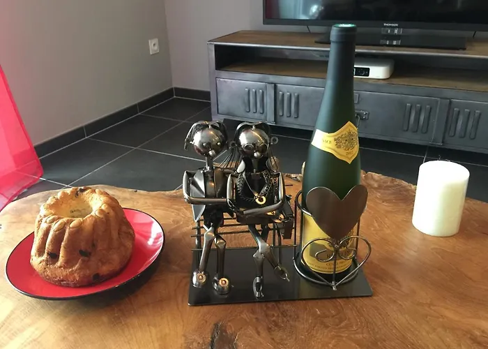 Le Riesling Centre Avec Terrasse Et Parking Gratuit Appartement Colmar