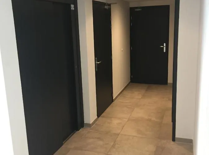 Appartement Le Riesling Centre Avec Terrasse Et Parking Gratuit