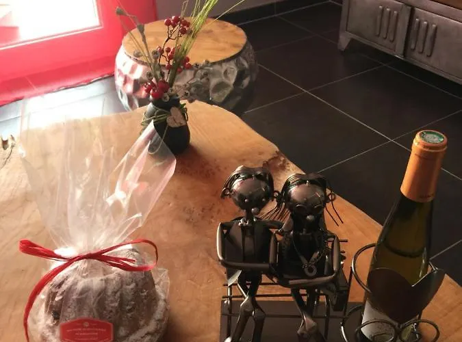 Le Riesling Centre Avec Terrasse Et Parking Gratuit Appartement