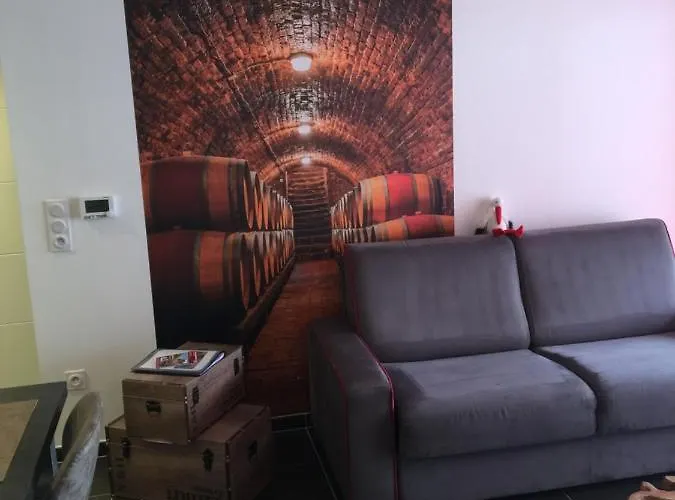 Le Riesling Centre Avec Terrasse Et Parking Gratuit