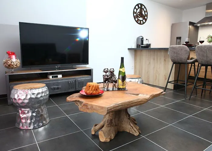 Appartement Le Riesling Centre Avec Terrasse Et Parking Gratuit Colmar